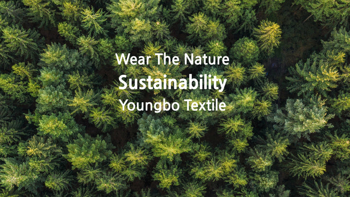 certificate_Youngbo Textile